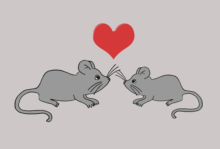 mice-1618514_1280.jpg