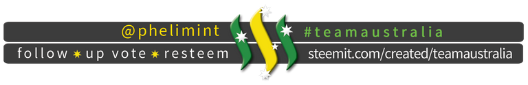 TeamAustralia Slim Banner