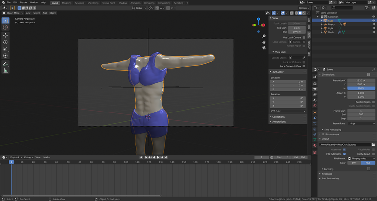 torso.png