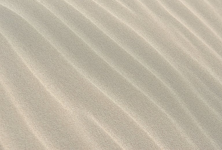 sand-2005066_1920.jpg