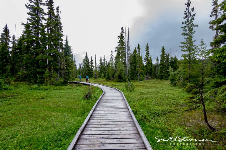 Strathcona Park-2.jpg