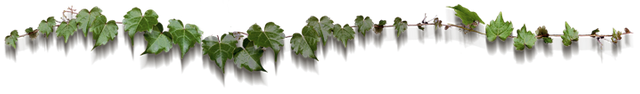 RGguko3kKHprNFrjXYxoaQJa7552xHAVuTGKSawh117TyujjGxu1q1vmBrb8wiYKCAUy8SBHzHehAb4NFMLA7aaW93PgyV9tQN7QdKzh1zAFyTsX9kJmqL9PZZSesTc.png