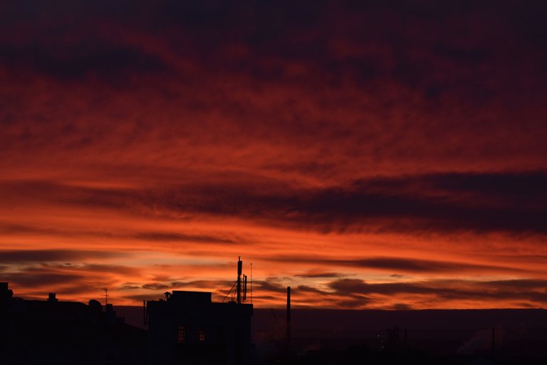 sunrise 9dec 1.jpg