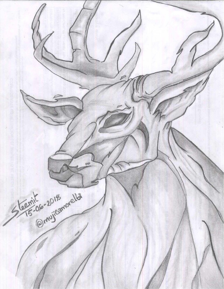 VENADO-001.jpg