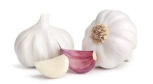 garlic.jpg