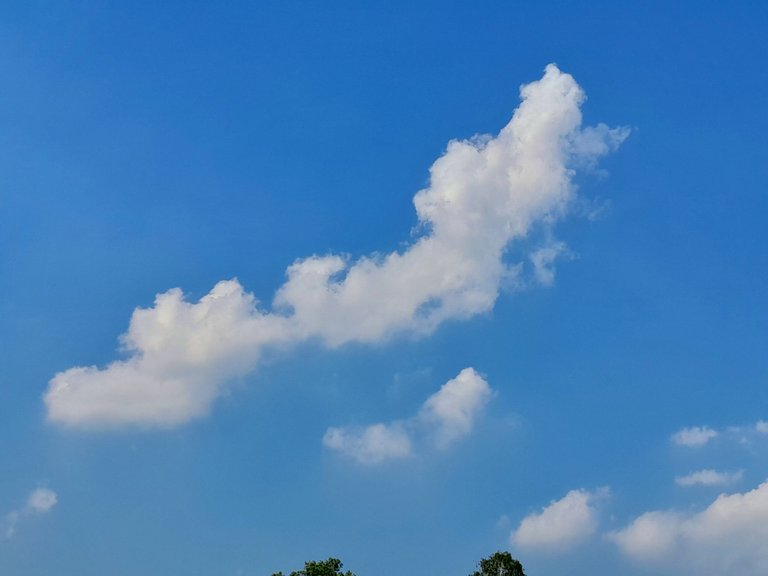 20230403_152047.jpg