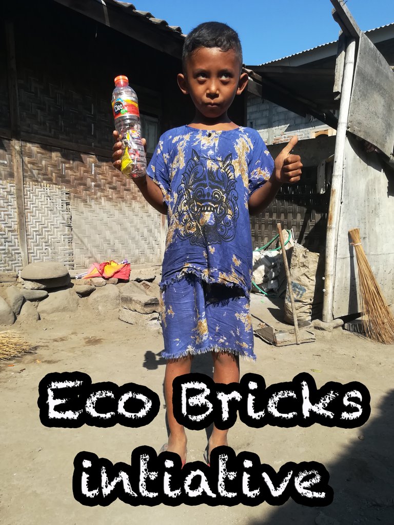 ecobrick.jpg