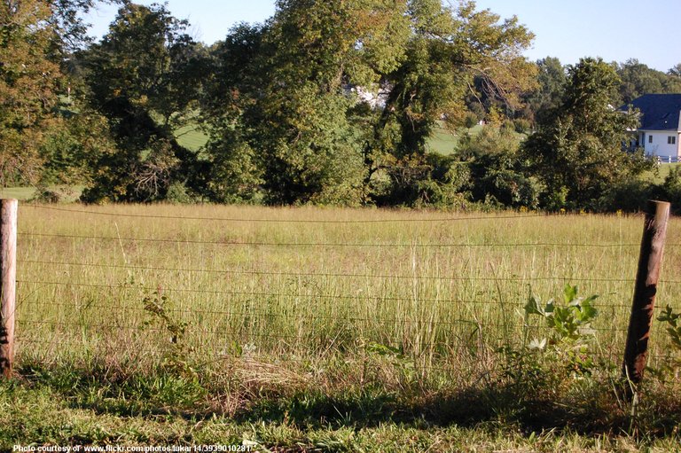 FenceGrasslandEarlyAutumn-090718.jpg