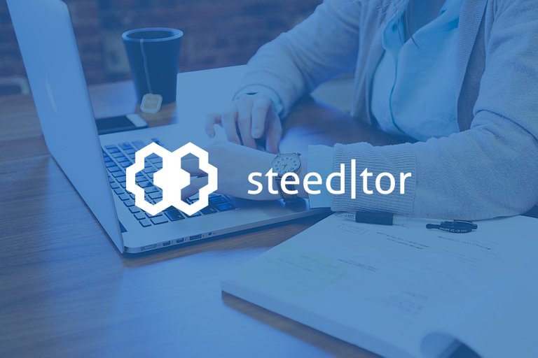 Steeditor-mockup3.jpg