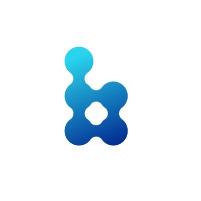 Bitdepositary-LOGO.jpg