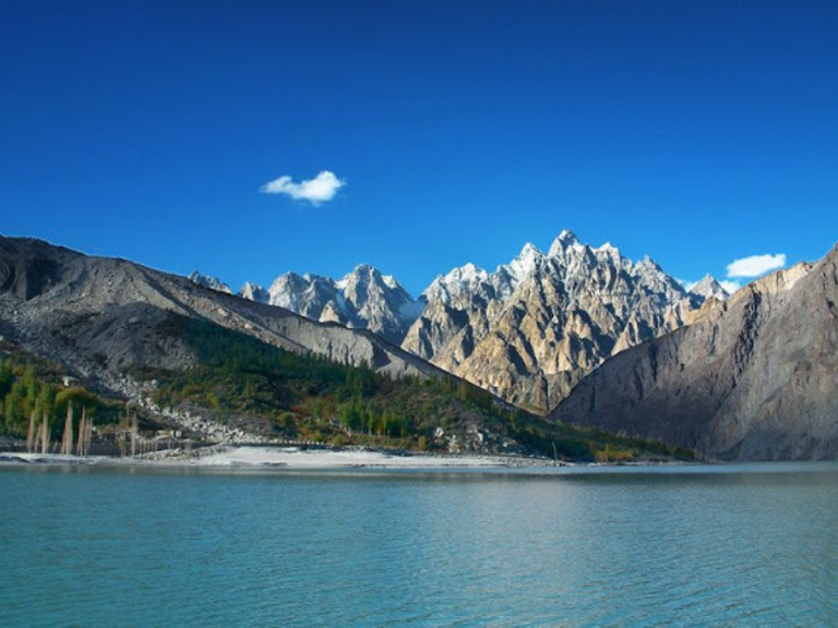 Passu.png