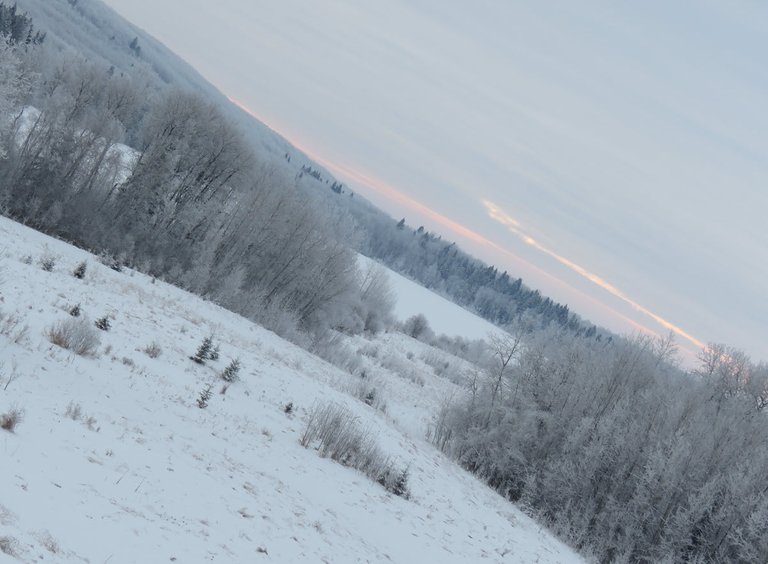 beautiful frosty scene from top of hill looking towards lake.JPG