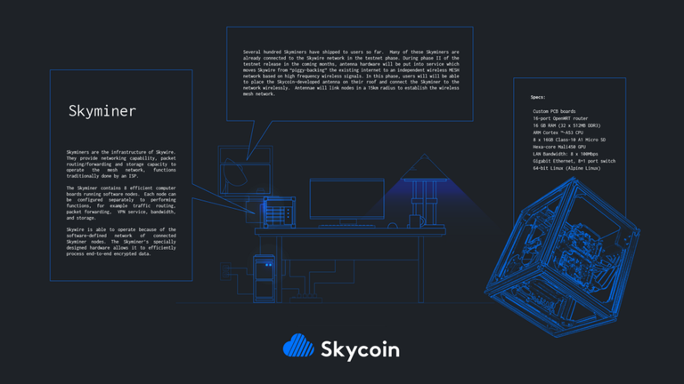 skycoinpayout.png