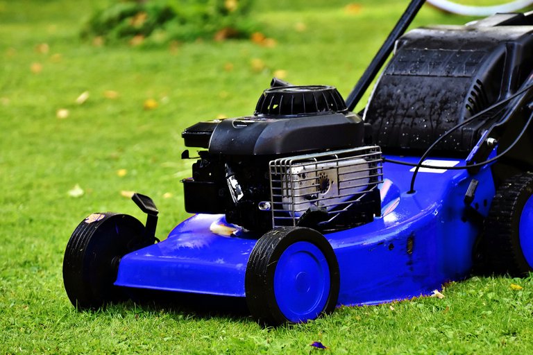 blue-lawn-mower-4103991_1920.jpg