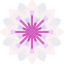 astrantia.png