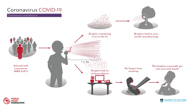 Coronavirus-transmission.jpg