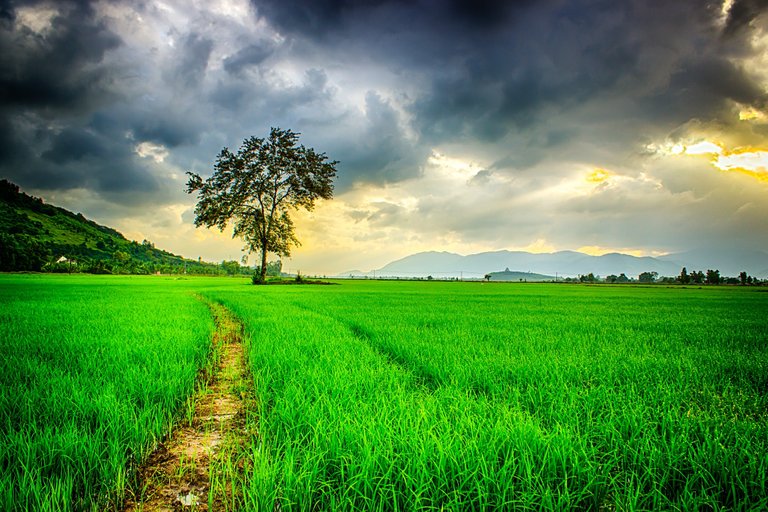 clouds-cloudy-countryside-236047.jpg