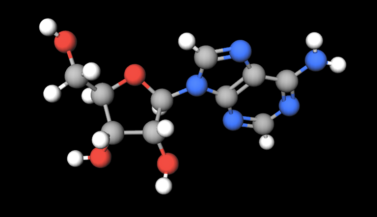 Picture Molecule Adenosine 800 460.png