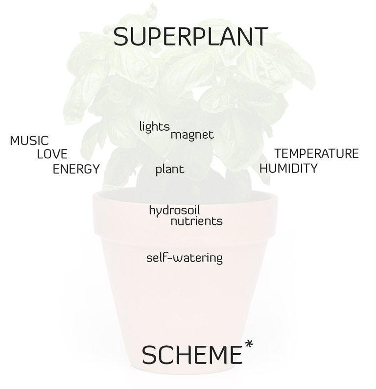 SUPERPLANT.jpg