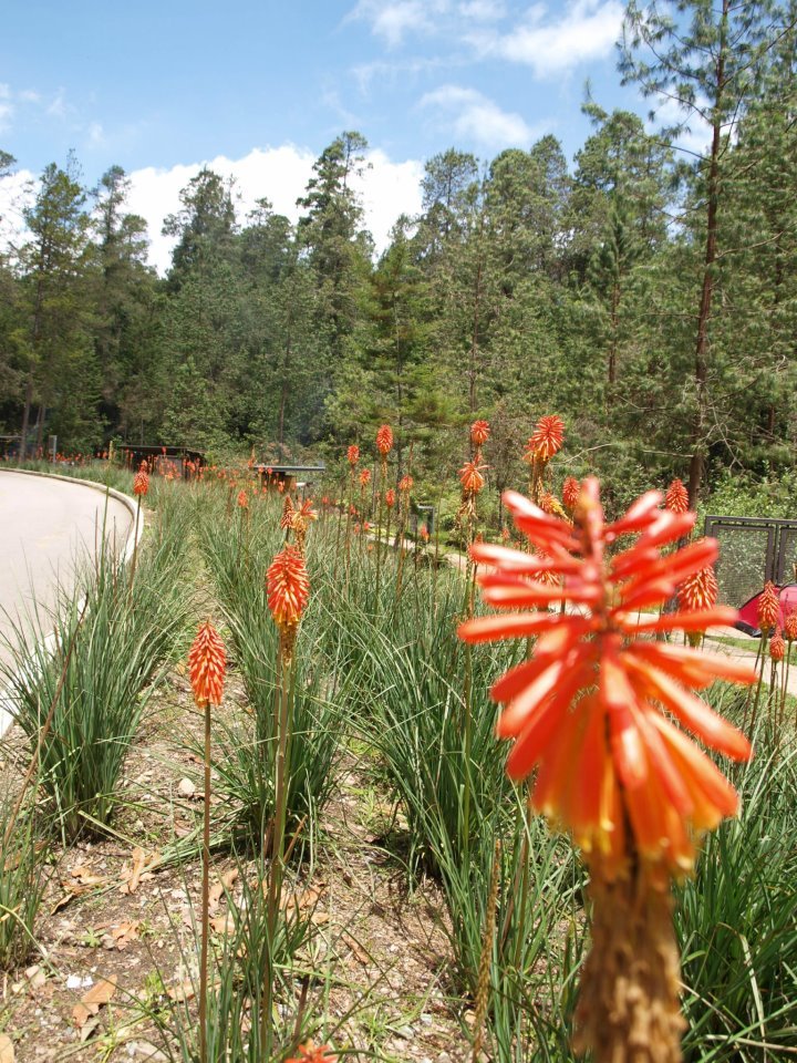 carretera-arvi.jpg