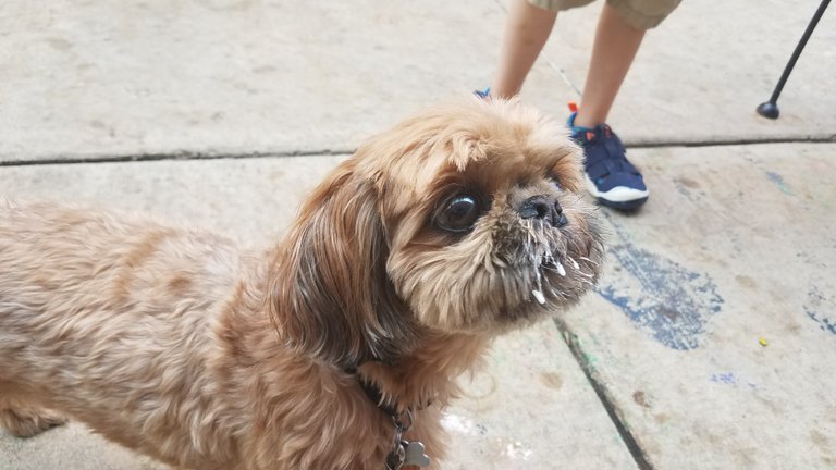 20190725_153151.jpg
