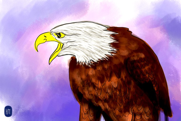 eagle(355).jpg