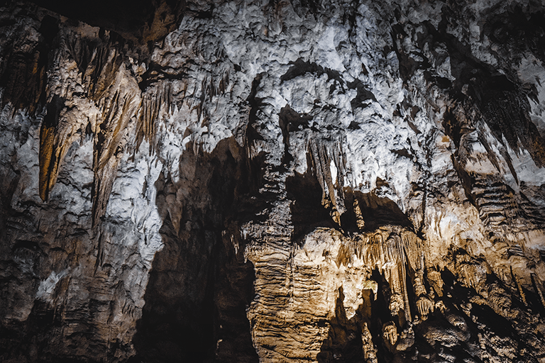 crimsonclad aranui cave formations in new zealand