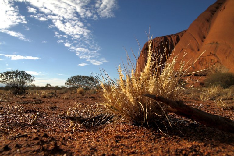 4992775899-base-walk-at-uluru (FILEminimizer).jpg