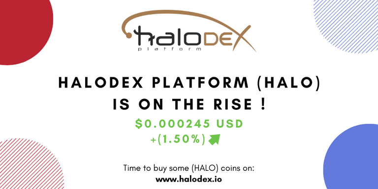 HALODEX PLATFORM ON THE RISE 22 JAN.png