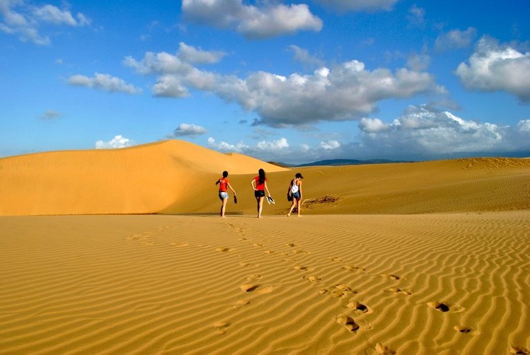 medanos.jpg_1721041292.jpg