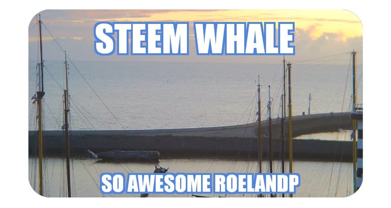 steem whale.jpg