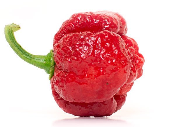 Moruga-Scorpion-Pepper.jpg