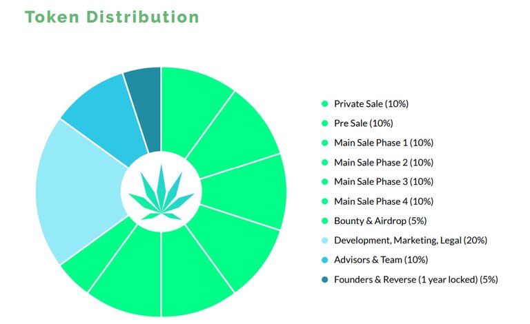 Jibbit Token distribution.jpg