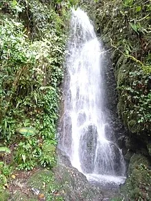 220px-Carson_Fall_Mt_Kinabalu.jpg.webp