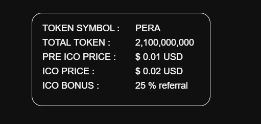 payera token details 2.png