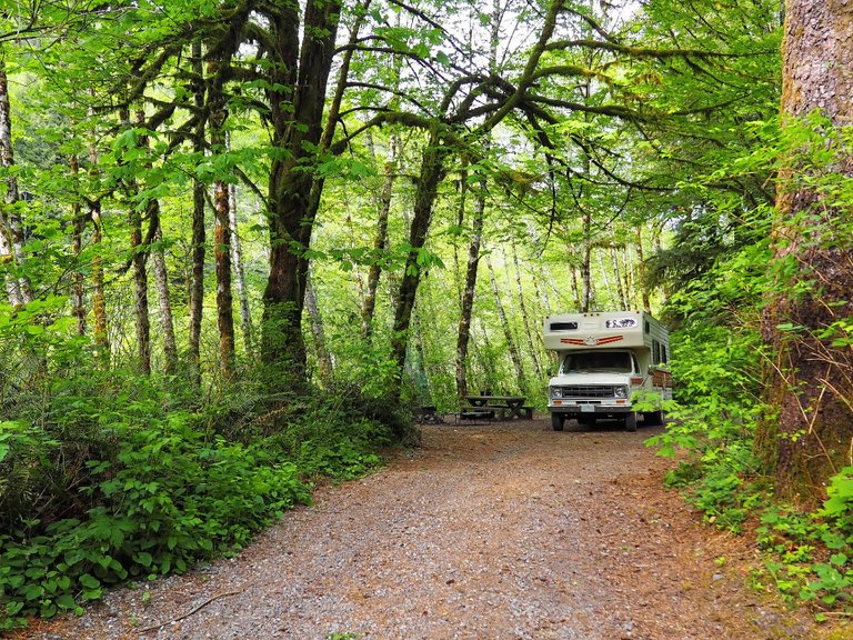 P4282367-vancouver-island-rv-camping-forest-1200.jpg