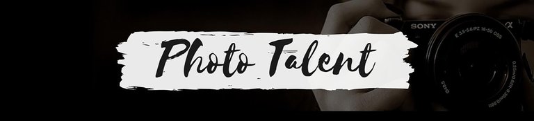 PhotoTalentBanner.jpg