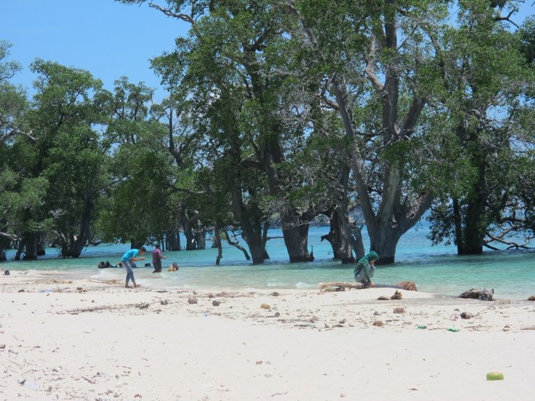 pantai-lhok-mee-aceh.jpg