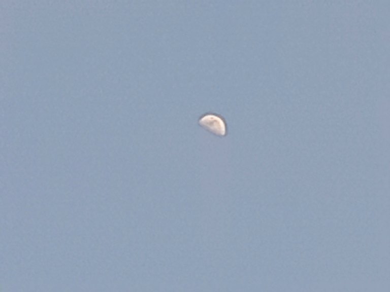 20230129_170845.jpg