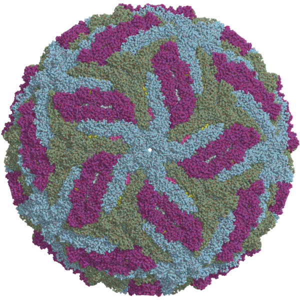 Zika_virus_cryo-EM_structure (1).png