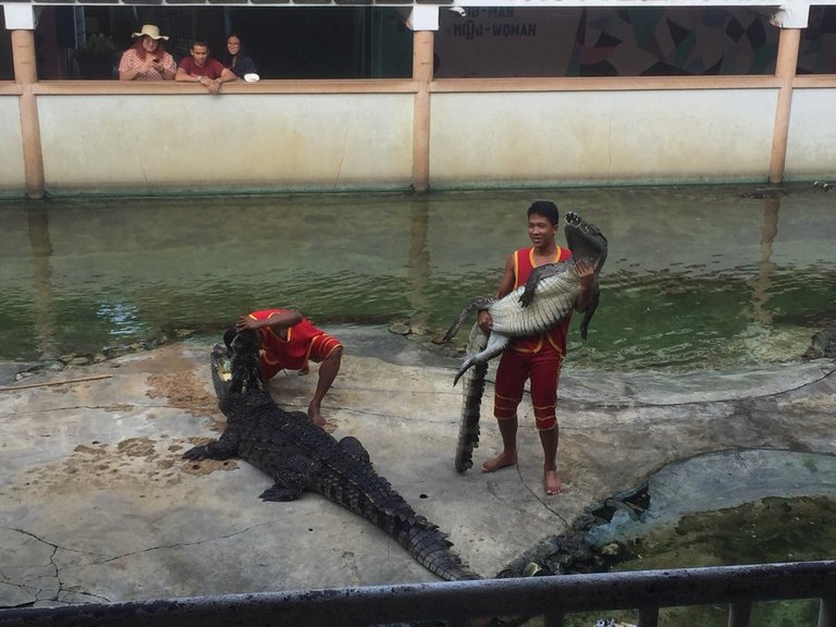 Samutprakarn Crocodile Farm and Zoo18.jpg