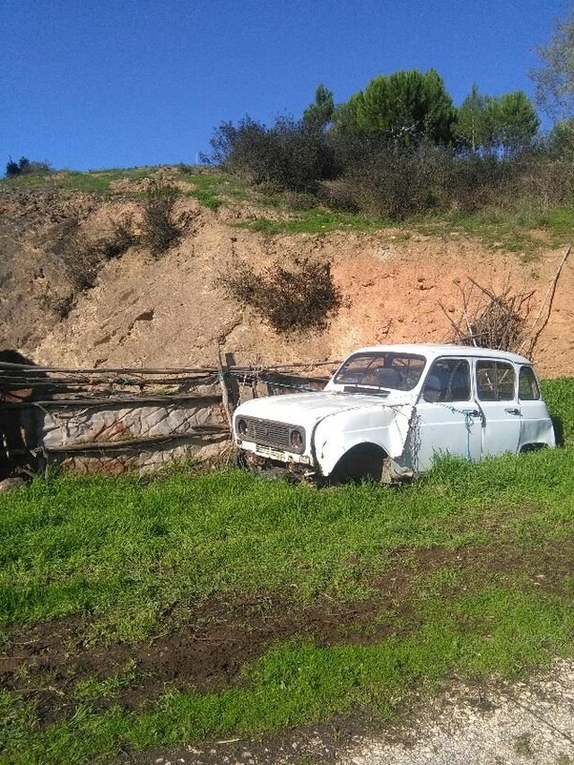 renault4 wrack.jpg