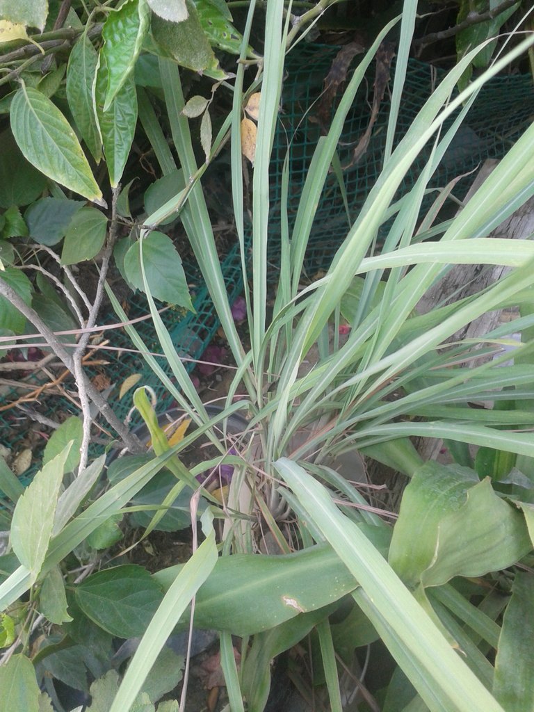 20190411_154233.jpg