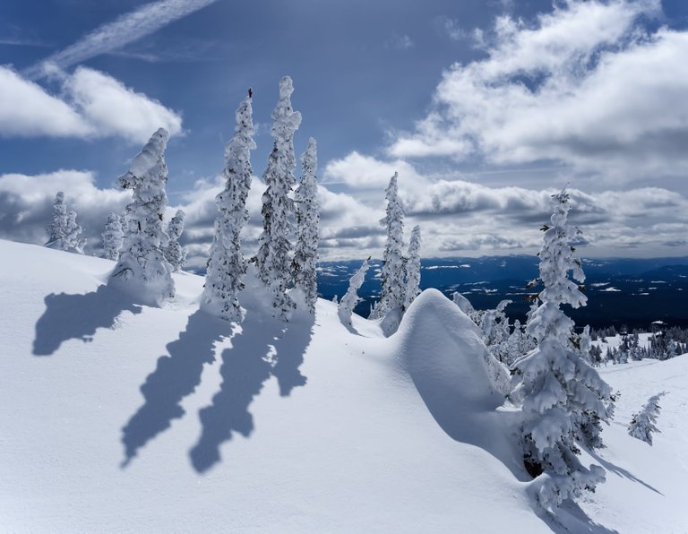 P4030052-snow-ghosts-blue-sky.jpg