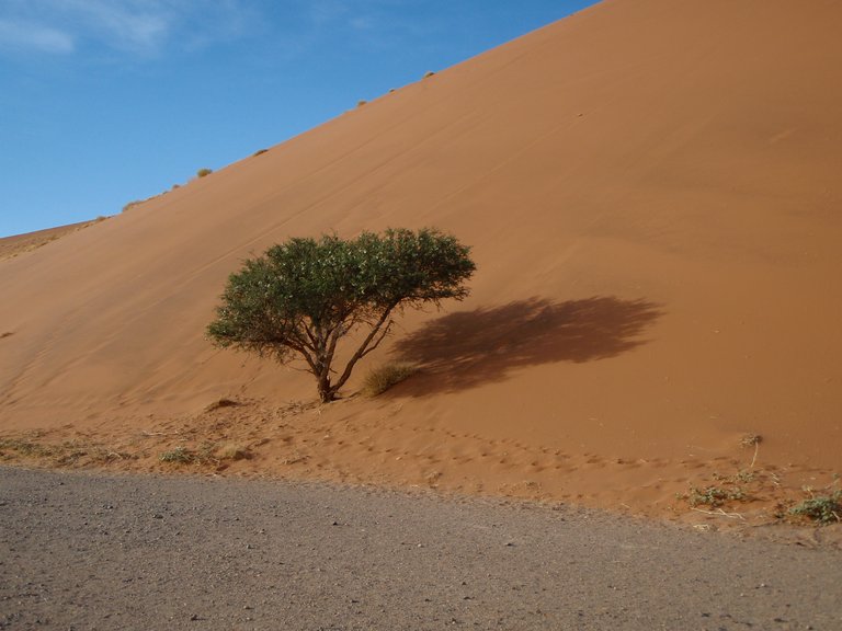 namibie 162.JPG