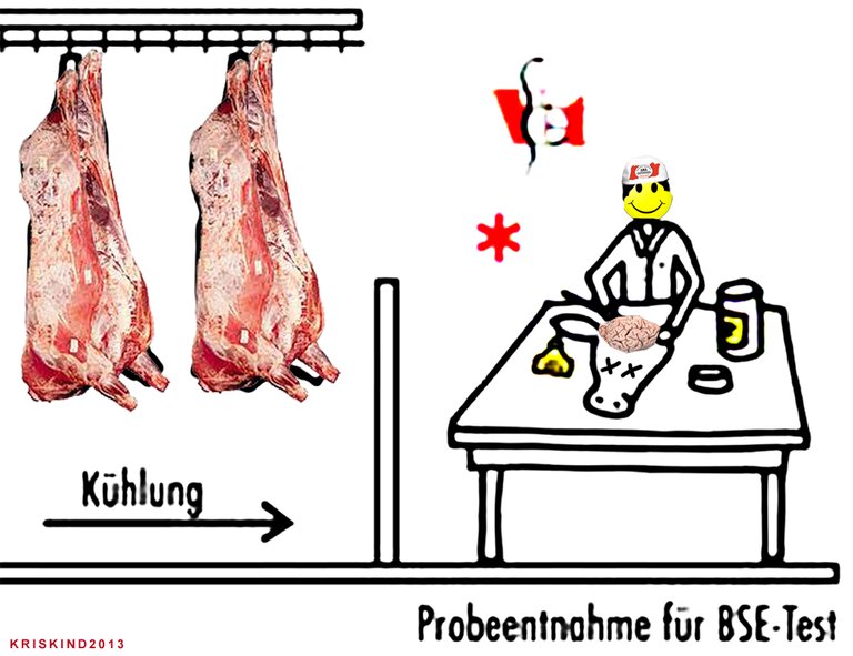 Die-große-Schlacht-7-kris-kind.jpg