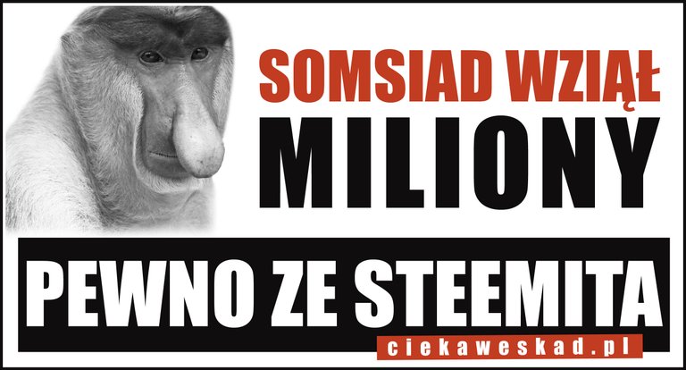 somsiad2.jpg