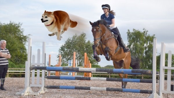 jumping doge vs horse.jpg