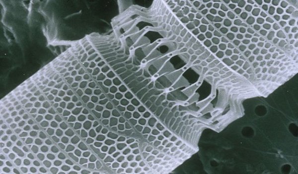 nanotubos.jpg