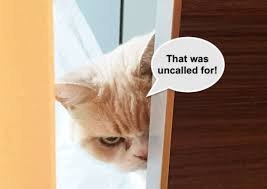 Upset cat.jpg